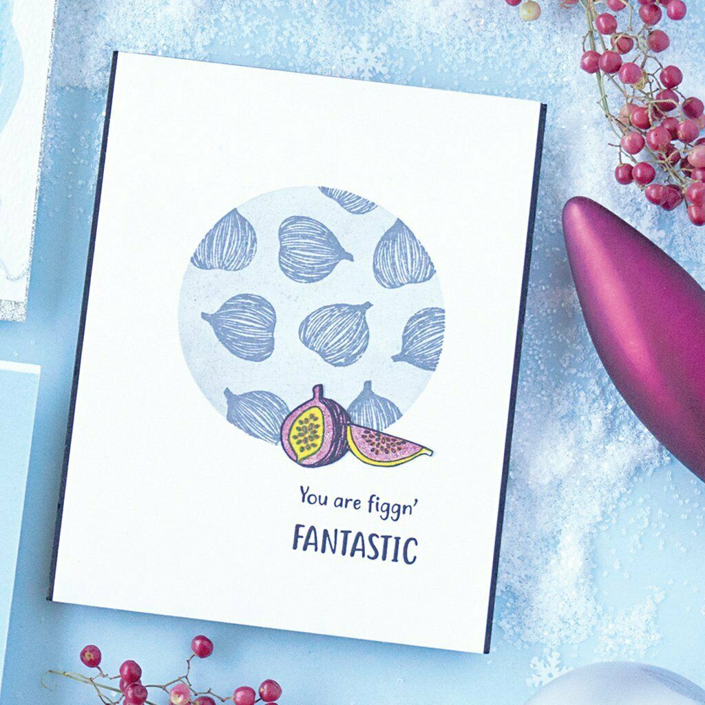 Hero Arts What The Fig Clear Stamps and Dies Stamp & Cut 18 Stamps 6 Dies