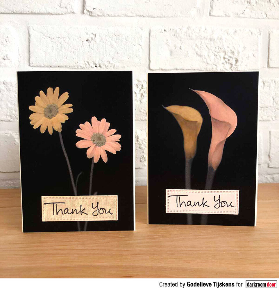 Darkroom Door Postcards Viva La Flora 6 Assorted DDPC101