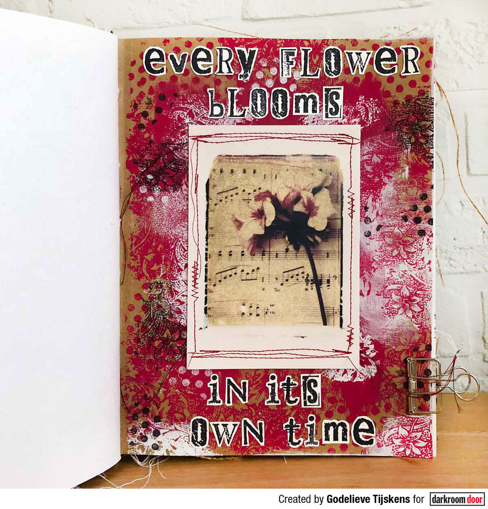 Darkroom Door Postcards Art De Fleur 6 Assorted DDPC102