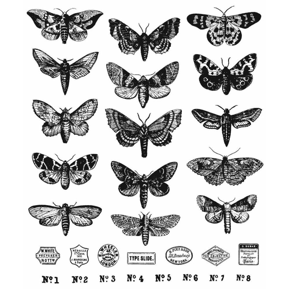 Tim Holtz Collection Rubber Stamps Moth Study Stampers Anonymous