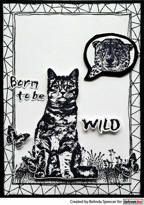 Darkroom Door Eclectic Rubber Stamp Sitting Cat