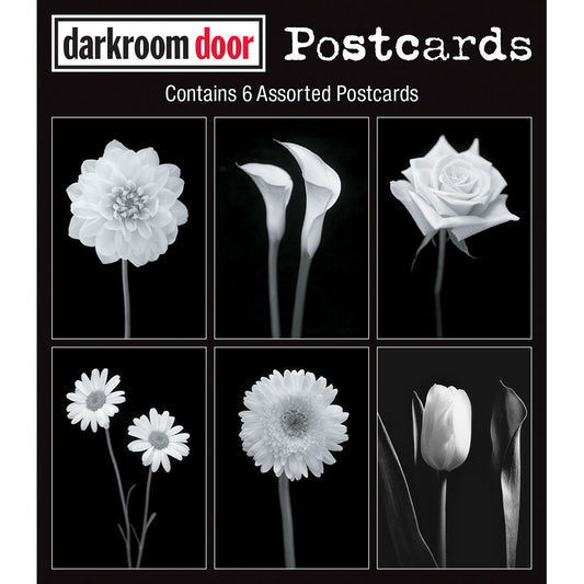 Darkroom Door Postcards Viva La Flora 6 Assorted DDPC101