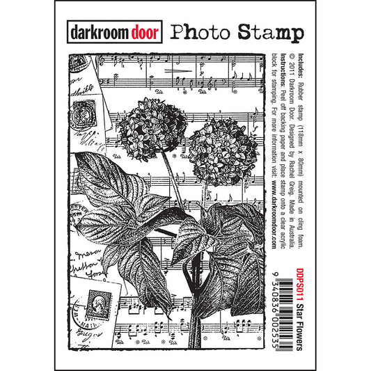 Darkroom Door Photo Rubber Stamp Star Flowers - 118mm x 80mm